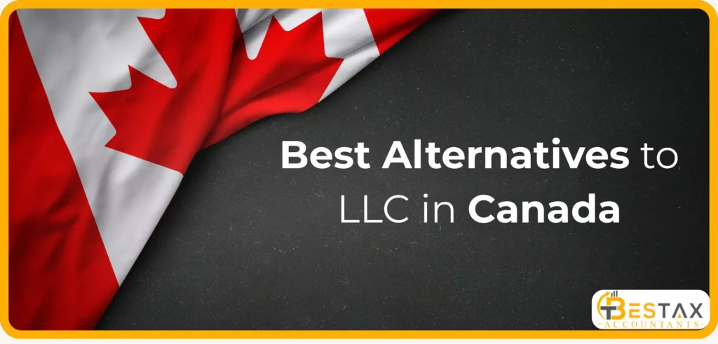 LLC in Canada: Alternatives & How to Register One 2 Best Alternatives to LLC in Canada
