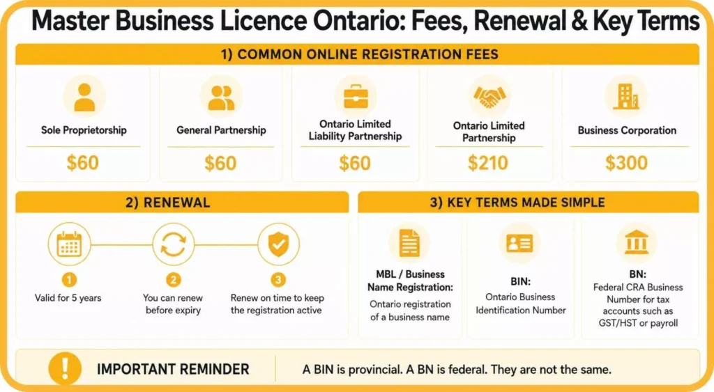What Is a Master Business Licence in Ontario and How to Get One? 2 master business license fees and cost